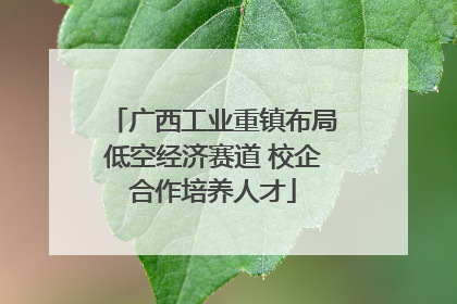 广西工业重镇布局低空经济赛道 校企合作培养人才