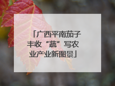 广西平南茄子丰收“蔬”写农业产业新图景