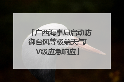 广西海事局启动防御台风等极端天气IV级应急响应