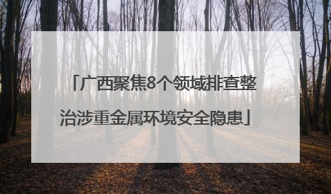 广西聚焦8个领域排查整治涉重金属环境安全隐患