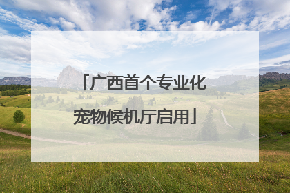 广西首个专业化宠物候机厅启用