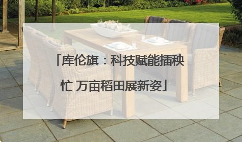 库伦旗：科技赋能插秧忙 万亩稻田展新姿