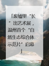 废墟里“长”出艺术展，温州首个“自然生态综合体示范片”启幕