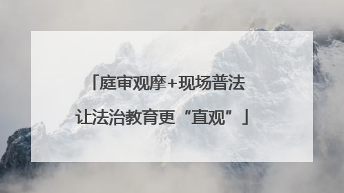 庭审观摩+现场普法 让法治教育更“直观”