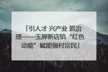 引人才 兴产业 抓治理——玉屏新店镇“红色动能”赋能强村富民