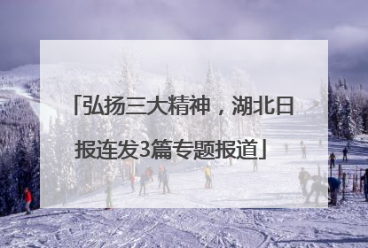 弘扬三大精神，湖北日报连发3篇专题报道