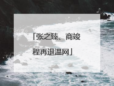 张之臻、商竣程再退温网