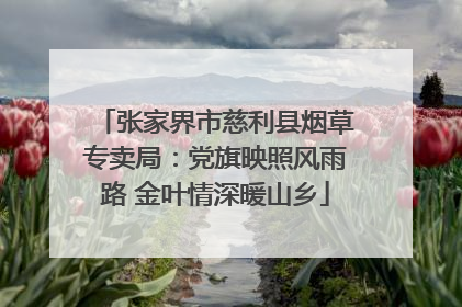 张家界市慈利县烟草专卖局：党旗映照风雨路 金叶情深暖山乡