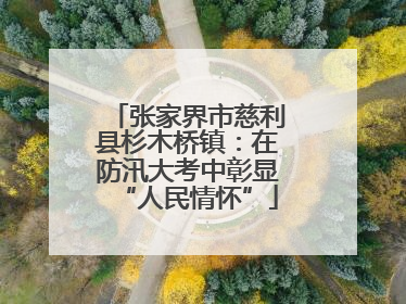 张家界市慈利县杉木桥镇：在防汛大考中彰显“人民情怀”