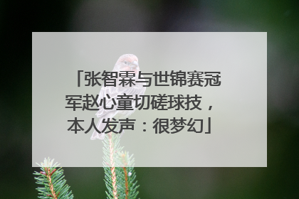 张智霖与世锦赛冠军赵心童切磋球技，本人发声：很梦幻