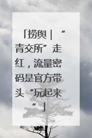 捞舆｜“青交所”走红，流量密码是官方带头“玩起来”