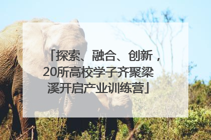 探索、融合、创新，20所高校学子齐聚梁溪开启产业训练营
