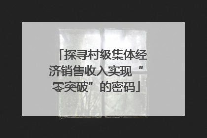探寻村级集体经济销售收入实现“零突破”的密码