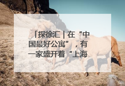 探徐汇｜在“中国最好公寓”，有一家盛开着“上海玫瑰”的书店