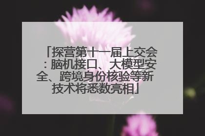 探营第十一届上交会：脑机接口、大模型安全、跨境身份核验等新技术将悉数亮相