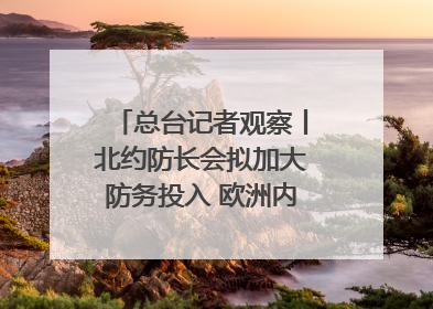 总台记者观察丨北约防长会拟加大防务投入 欧洲内部分歧难掩