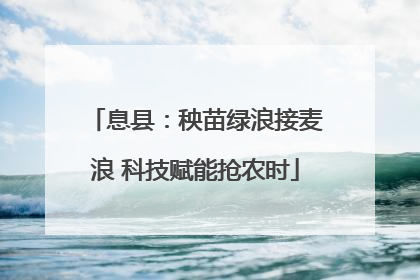 息县：秧苗绿浪接麦浪 科技赋能抢农时