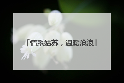 情系姑苏，温暖沧浪