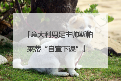 意大利男足主帅斯帕莱蒂“自宣下课”
