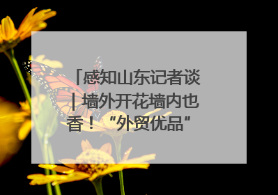 感知山东记者谈｜墙外开花墙内也香！“外贸优品”打通国内国际市场“旋转门”