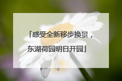 感受全新移步换景，东湖荷园明日开园