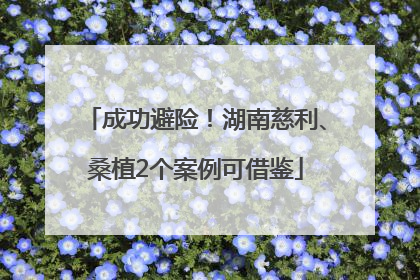 成功避险！湖南慈利、桑植2个案例可借鉴