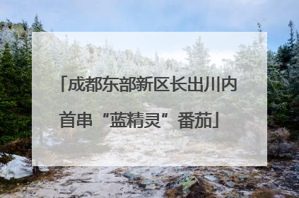 成都东部新区长出川内首串“蓝精灵”番茄