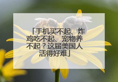 手机买不起、炸鸡吃不起、宠物养不起？这届美国人活得好难