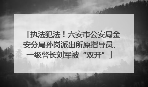 执法犯法！六安市公安局金安分局孙岗派出所原指导员、一级警长刘军被“双开”