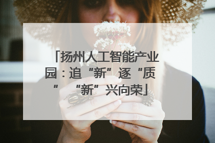 扬州人工智能产业园：追“新”逐“质” “新”兴向荣