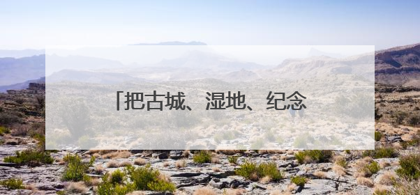 把古城、湿地、纪念馆串成珍珠链，“鲁风运河”古城文化廊道入选十大最美农村路
