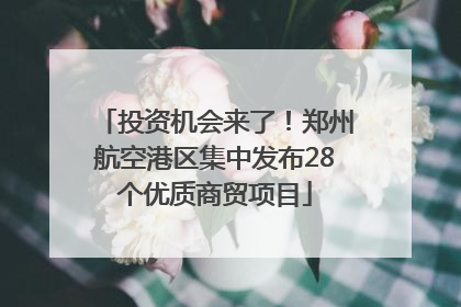 投资机会来了！郑州航空港区集中发布28个优质商贸项目
