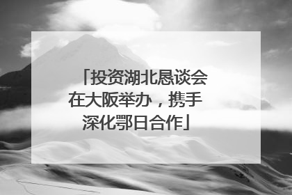 投资湖北恳谈会在大阪举办，携手深化鄂日合作