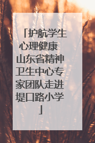 护航学生心理健康 山东省精神卫生中心专家团队走进堤口路小学