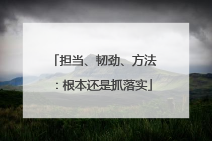 担当、韧劲、方法：根本还是抓落实