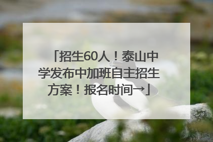 招生60人！泰山中学发布中加班自主招生方案！报名时间→