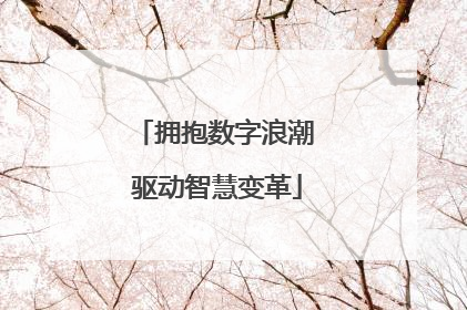 拥抱数字浪潮 驱动智慧变革