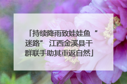 持续降雨致娃娃鱼“迷路” 江西金溪县干群联手助其重返自然
