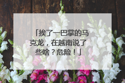 挨了一巴掌的马克龙，在越南说了些啥？危险！