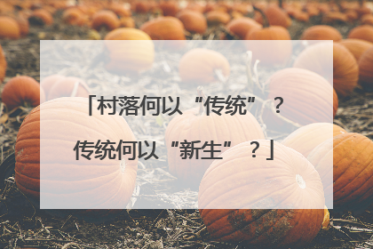 村落何以“传统”？传统何以“新生”？