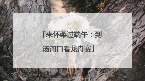 来怀柔过端午：到汤河口看龙舟赛