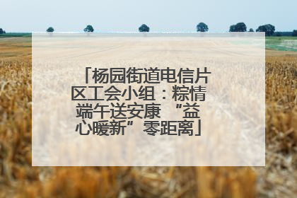 杨园街道电信片区工会小组：粽情端午送安康 “益心暖新”零距离