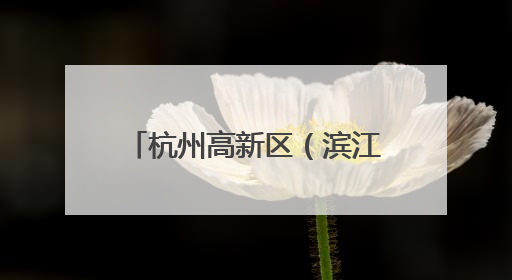 杭州高新区（滨江）：全力推进高质量发展与高水平安全“双向奔赴”