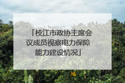 枝江市政协主席会议成员视察电力保障能力建设情况