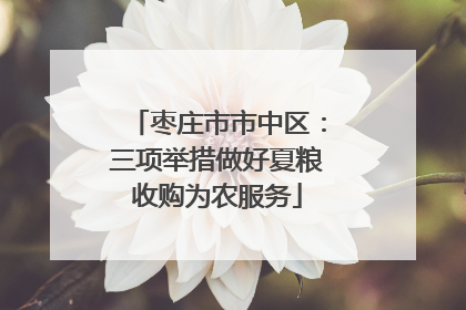 枣庄市市中区：三项举措做好夏粮收购为农服务