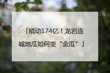 撬动174亿！龙岩连城地瓜如何变“金瓜”