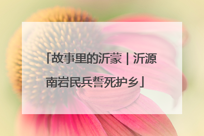 故事里的沂蒙｜沂源南岩民兵誓死护乡