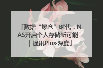 数据“爆仓”时代：NAS开启个人存储新可能｜通讯Plus·深度