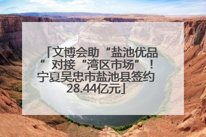 文博会助“盐池优品”对接“湾区市场”！宁夏吴忠市盐池县签约28.44亿元