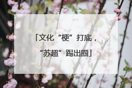 文化“梗”打底，“苏超”踢出圈